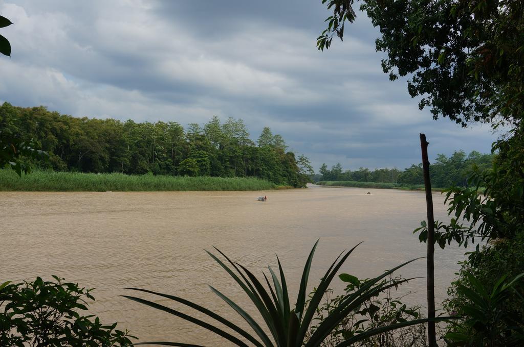 Borneo Natural Sukau Bilit Resort Екстериор снимка